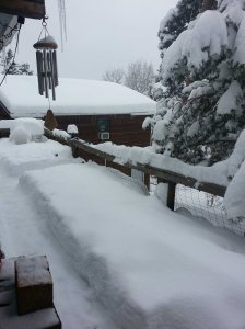 View from my Front Door May 12, 2014