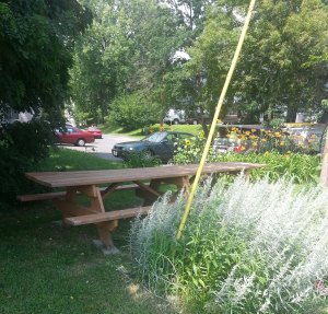 Our Picnic spot at WEBS