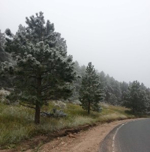 Valley Frost and gulley