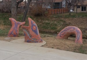 Water Fish without the snow