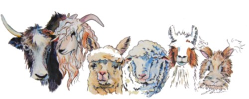 Scotts Bluff Fiber Arts Fair logo