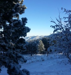Snowy Front yard Thanksgiving