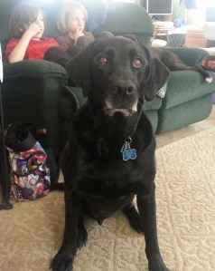Beautiful Tango Boy