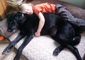 Tango and T2 cuddle