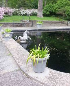 The Reflecting Pool Seahorse decoration.