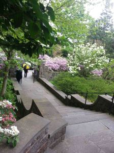 Walking down the path into the reflecting pool garden.