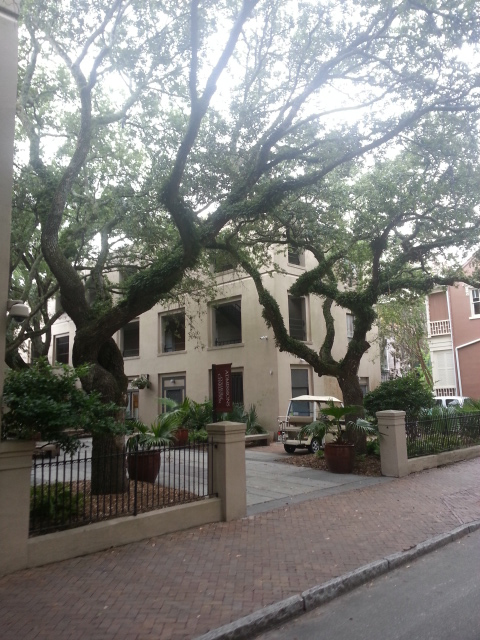 Loving all the winding trees