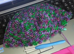 Progress Photo of Beanie 2