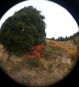 fish-eye-mtnside