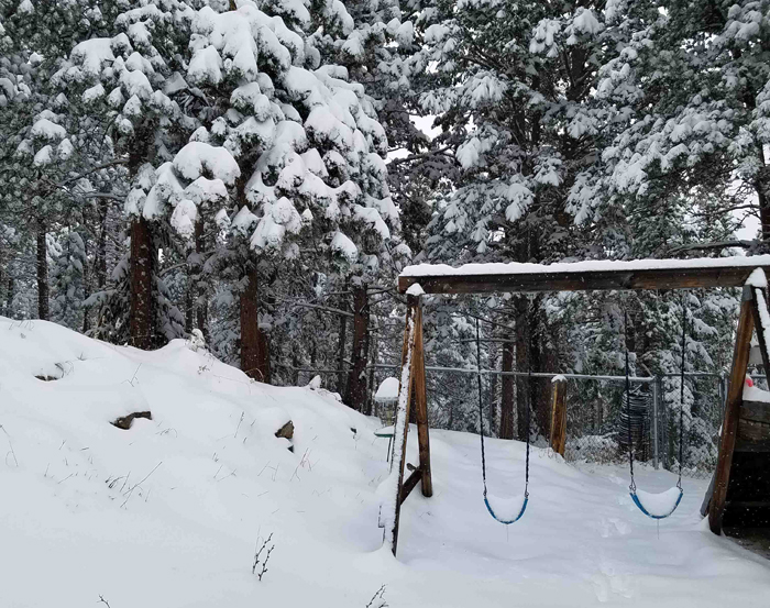 Snow loaded pine trees on a snowy hillside with swing set in foregrounds with snow on seats.